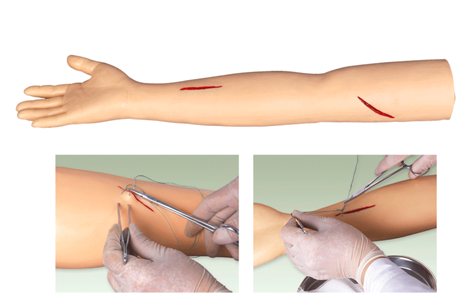 高級(jí)外科手臂縫合訓(xùn)練模型