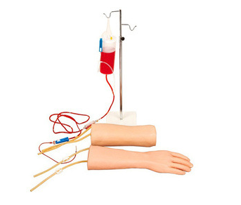 手部、肘部組合式靜脈（血）訓(xùn)練模型